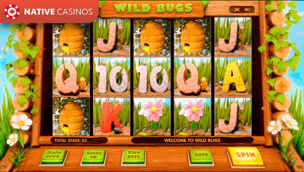 Play Wild Bugs By Cayetano