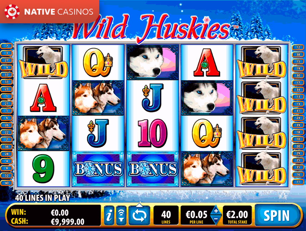 Play Wild Huskies By Bally Technologies