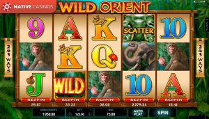 Wild Orient by Microgaming