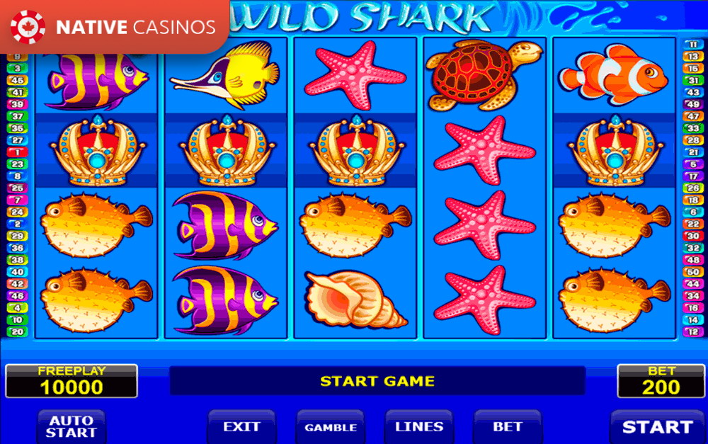 Play Wild Shark By Amatic Info
