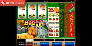Big 5 by Microgaming