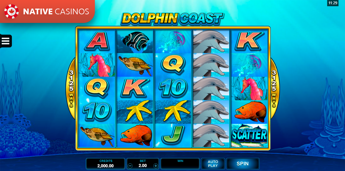 Play Dolphin Coast by Microgaming
