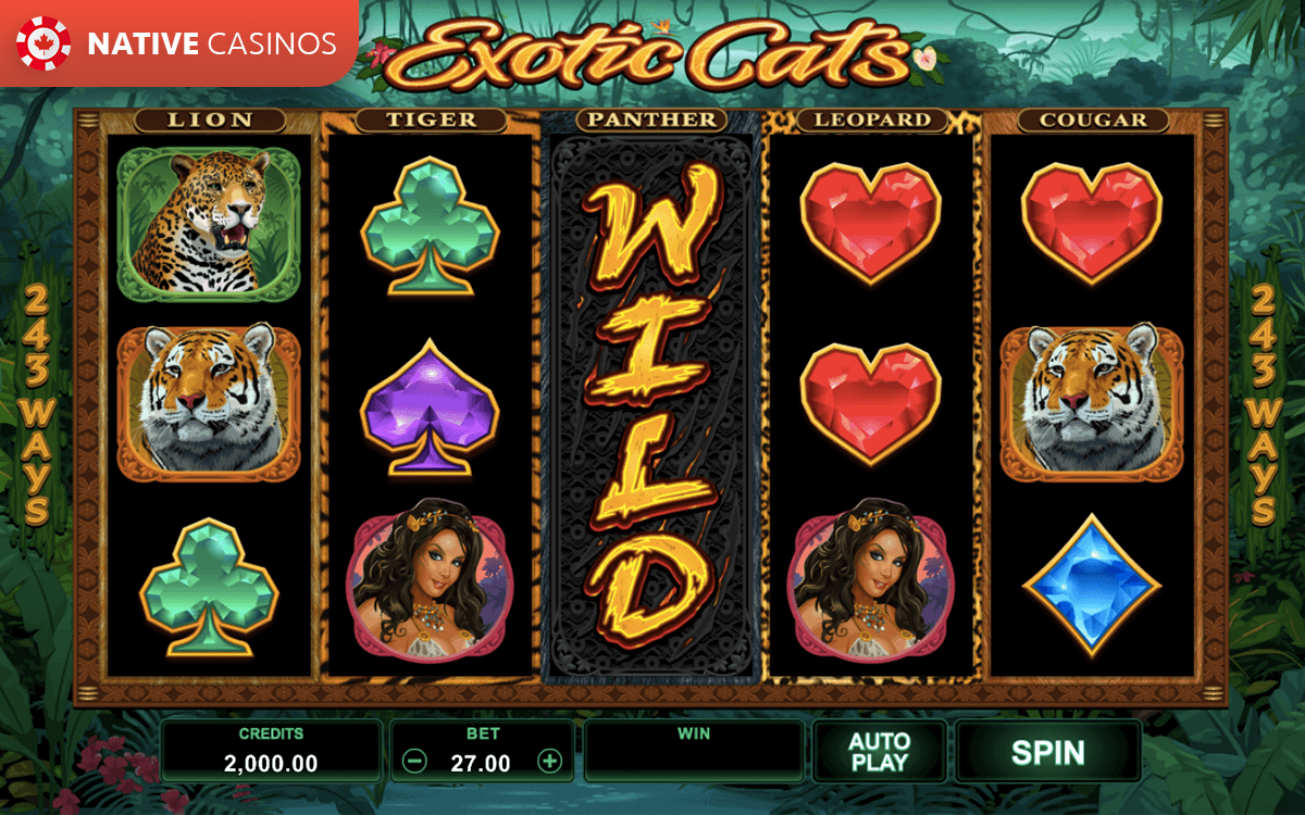 Play Exotic Cats by Microgaming