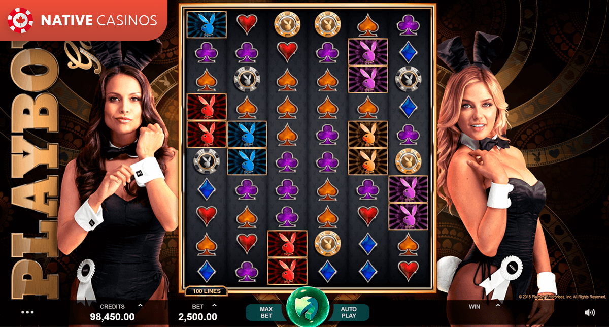 Play Playboy Gold by Microgaming